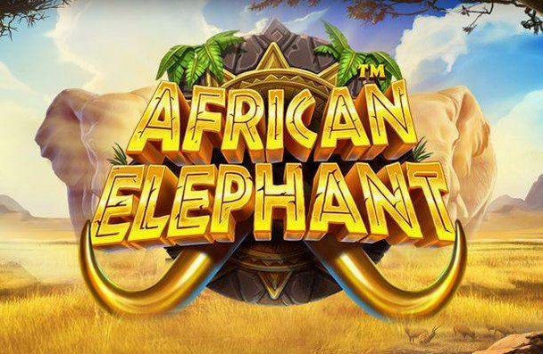 African Elephant